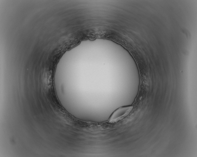 X0000115240818200911131702