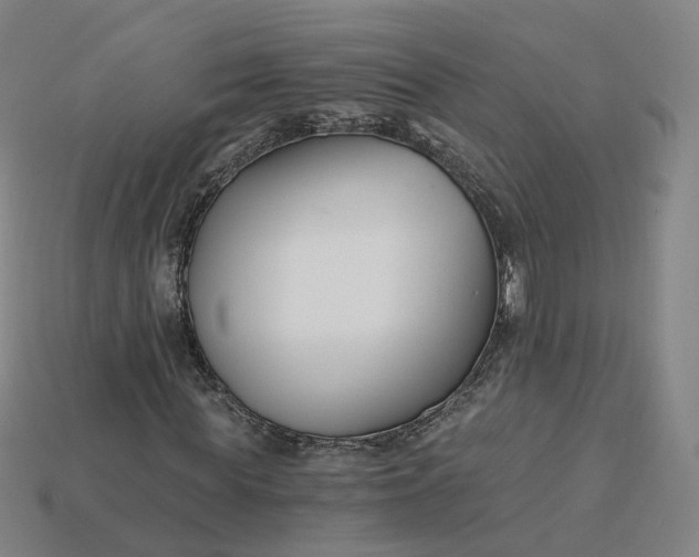 X0000115240819200911131702