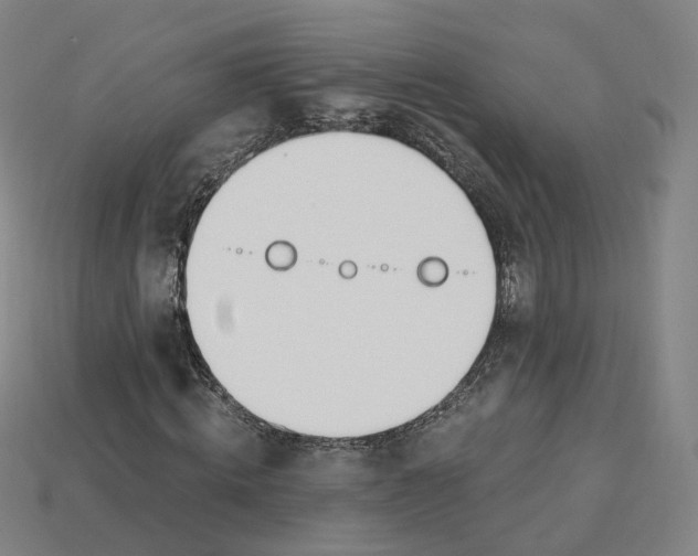 X0000115240820200911131702