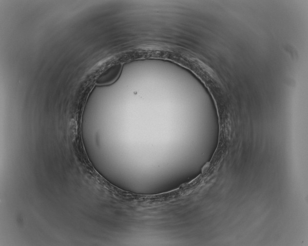 X0000115240821200911131702