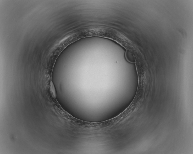 X0000115240822200911131702