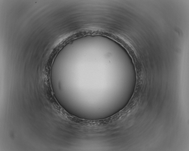 X0000115240823200911131702