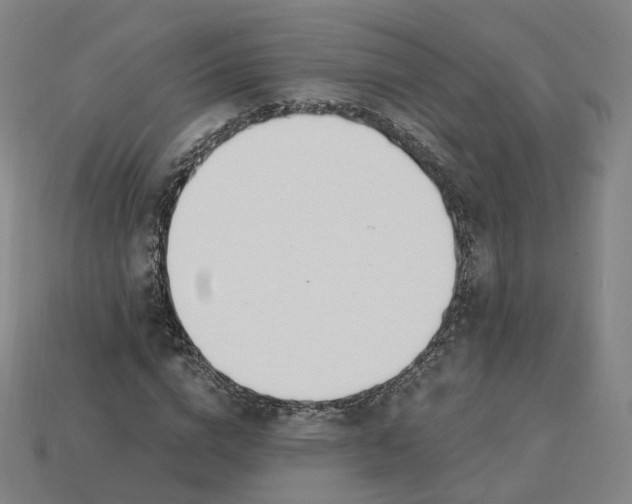 X0000115240824200911131702