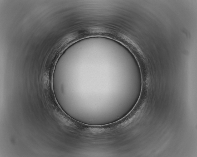 X0000115240825200911131702