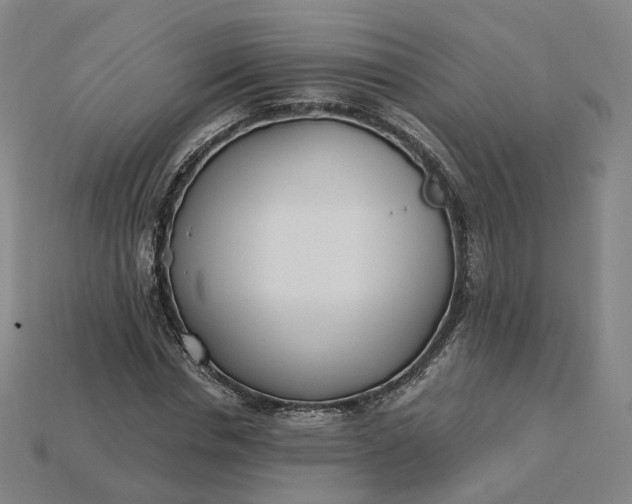 X0000115240826200911131702