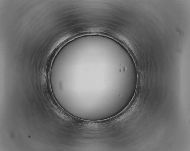 X0000115240827200911131702