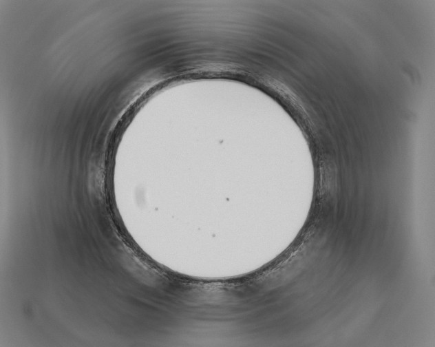 X0000115240828200911131702