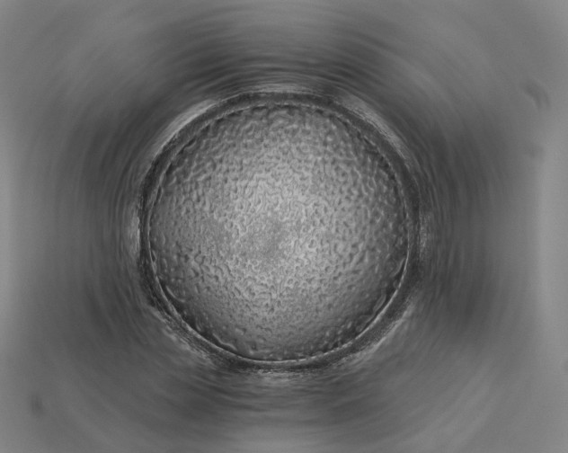 X0000115240829200911131702