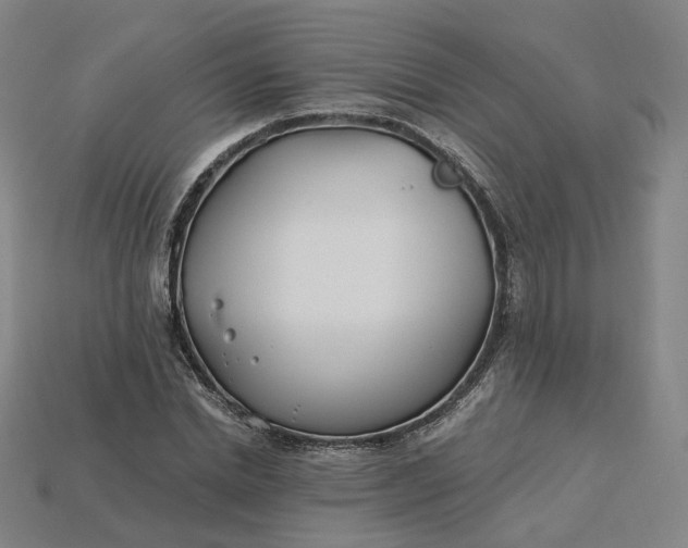 X0000115240830200911131702