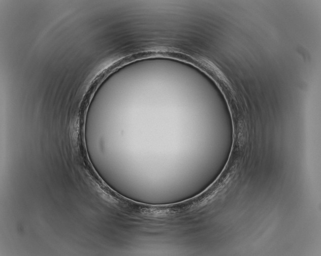 X0000115240831200911131702