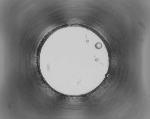 X0000115240832200911131702