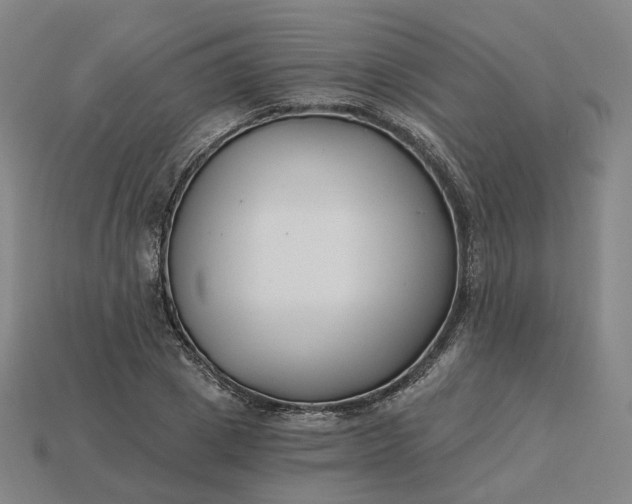 X0000115240833200911131702