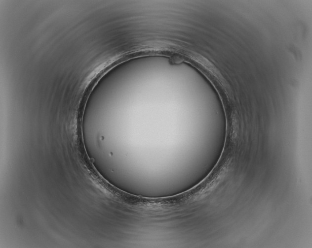 X0000115240834200911131702