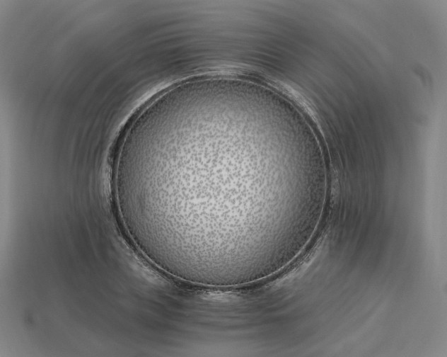 X0000115240835200911131702