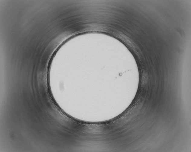 X0000115240836200911131702