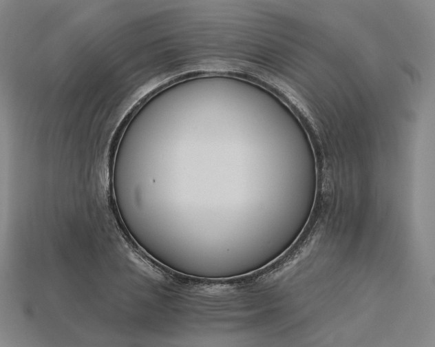 X0000115240837200911131703