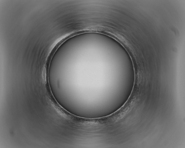 X0000115240838200911131703