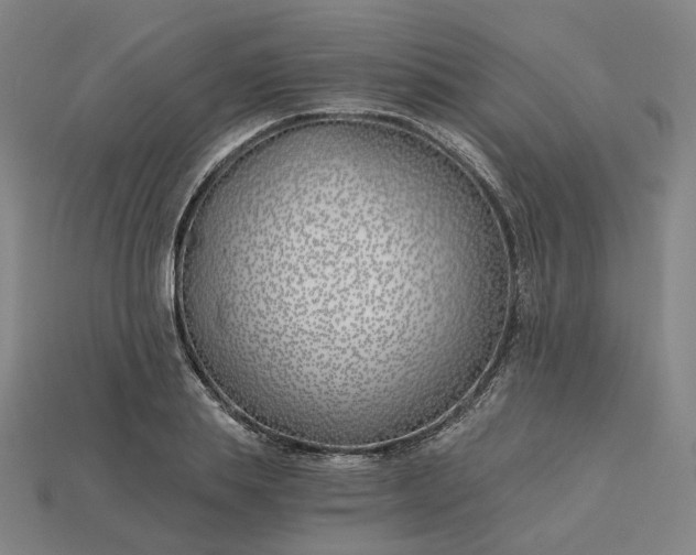 X0000115240839200911131703