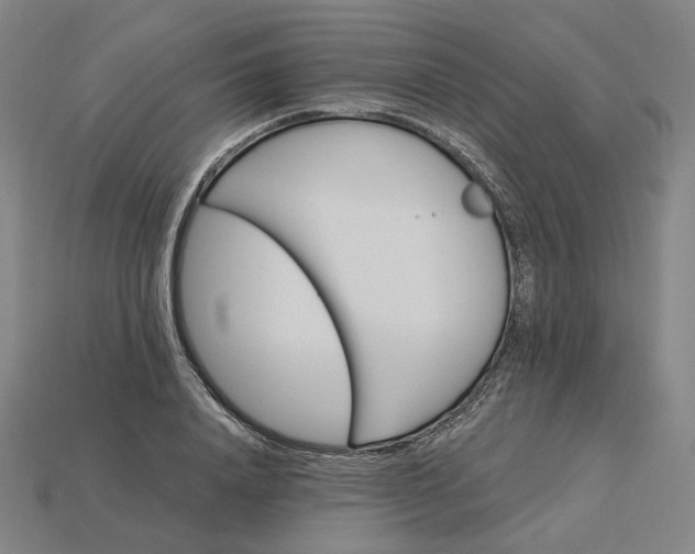 X0000115240840200911131703
