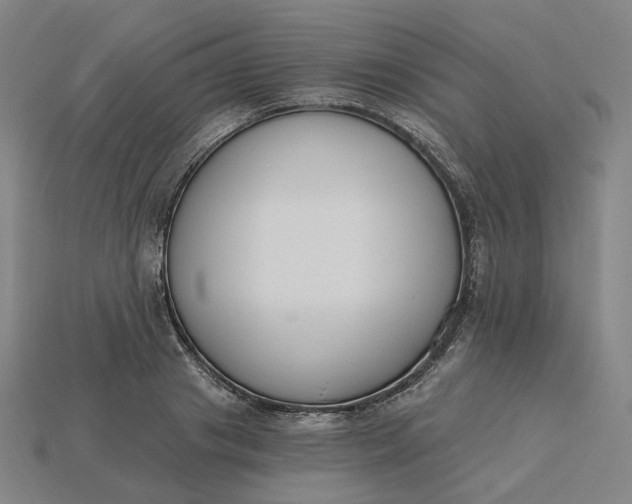 X0000115240841200911131703
