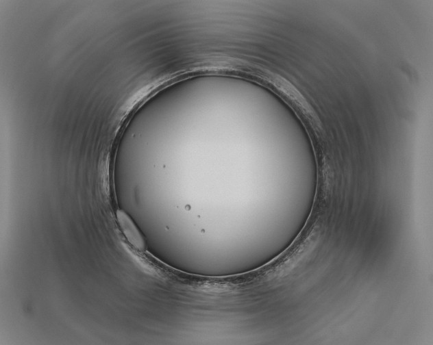 X0000115240842200911131703