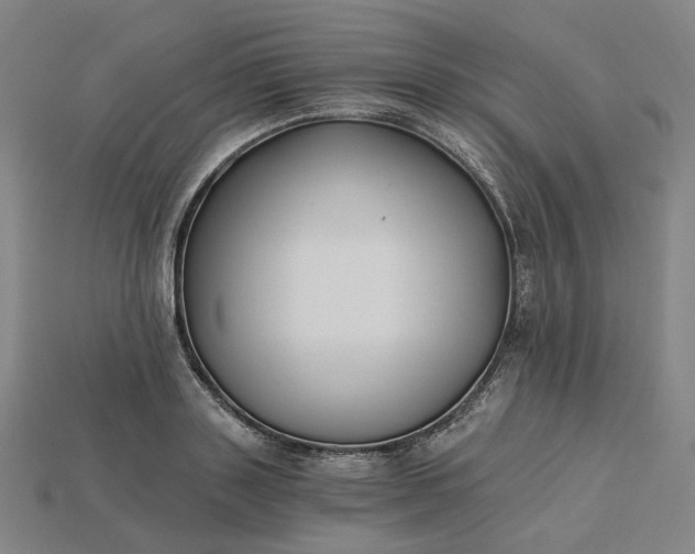 X0000115240843200911131703