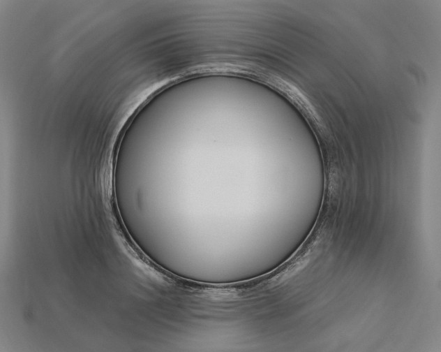 X0000115240844200911131703