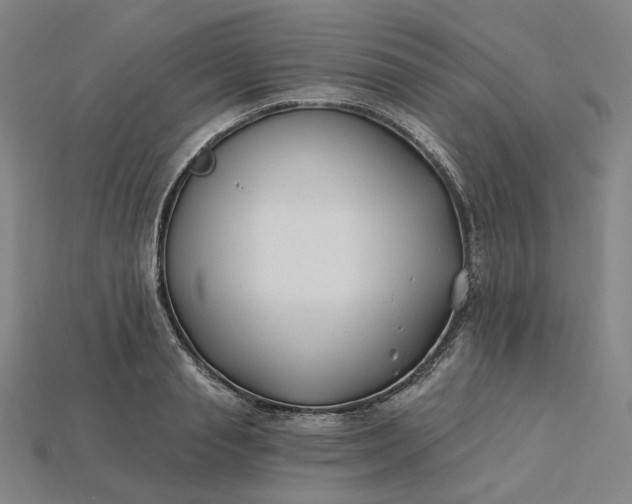 X0000115240845200911131703