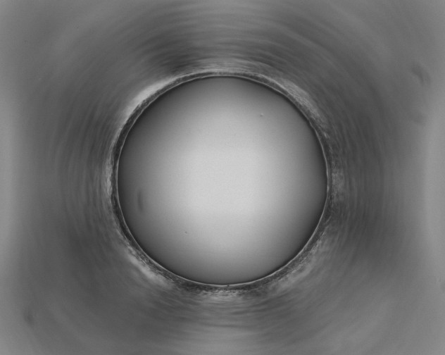 X0000115240846200911131703