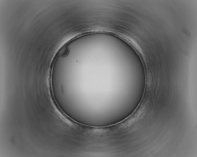 X0000115240847200911131703