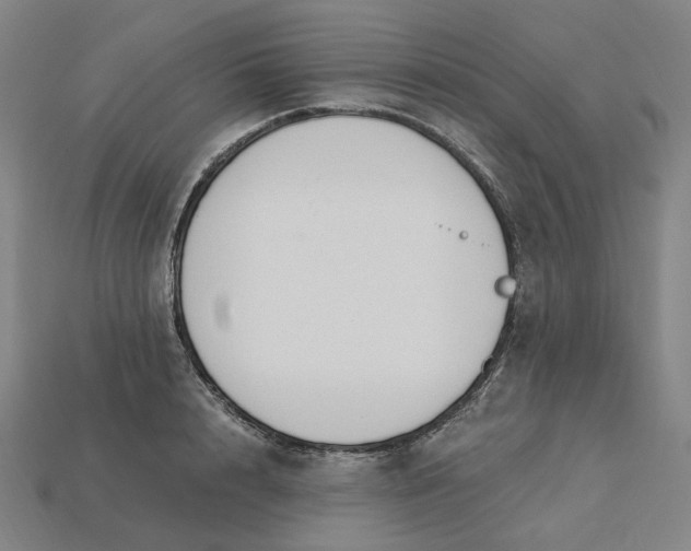 X0000115240848200911131703