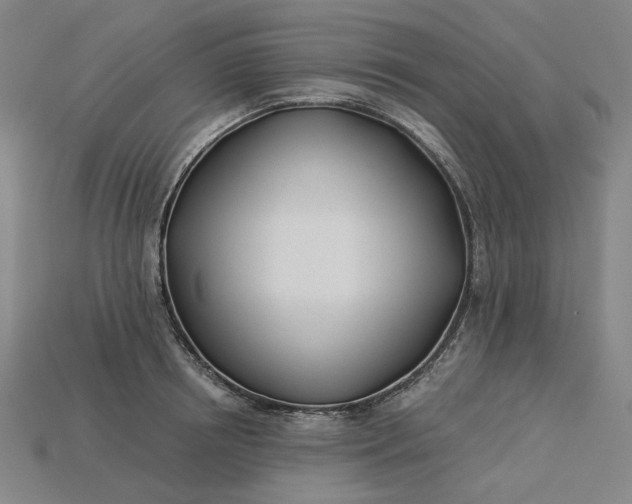X0000115240850200911131703