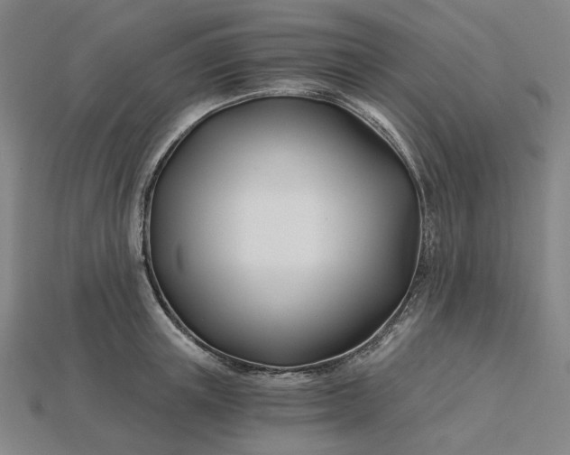 X0000115240851200911131703