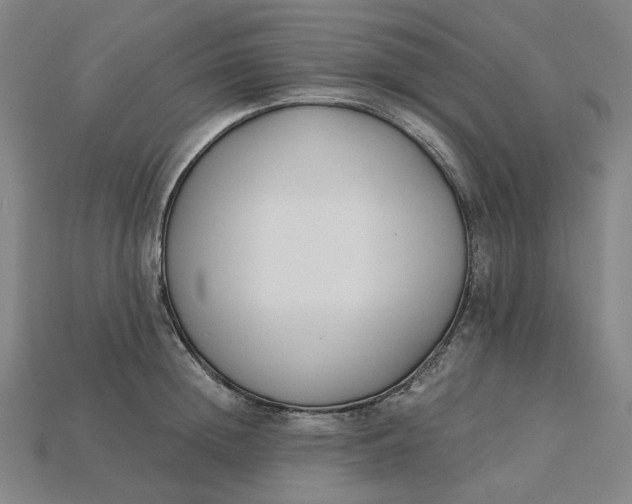 X0000115240852200911131703