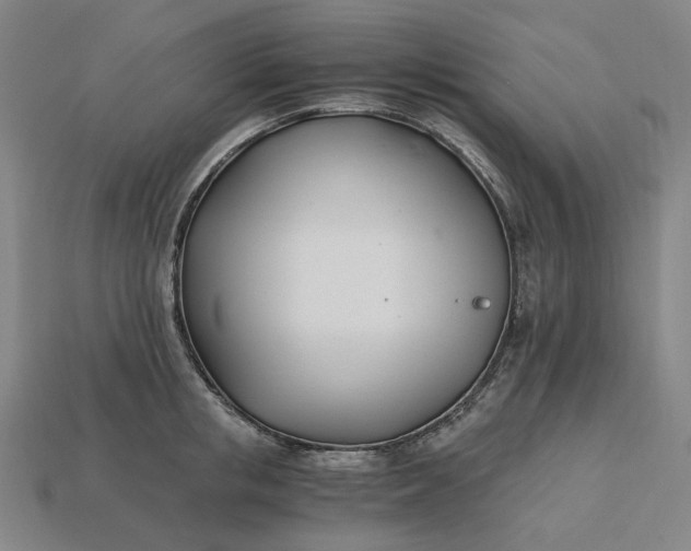 X0000115240853200911131703