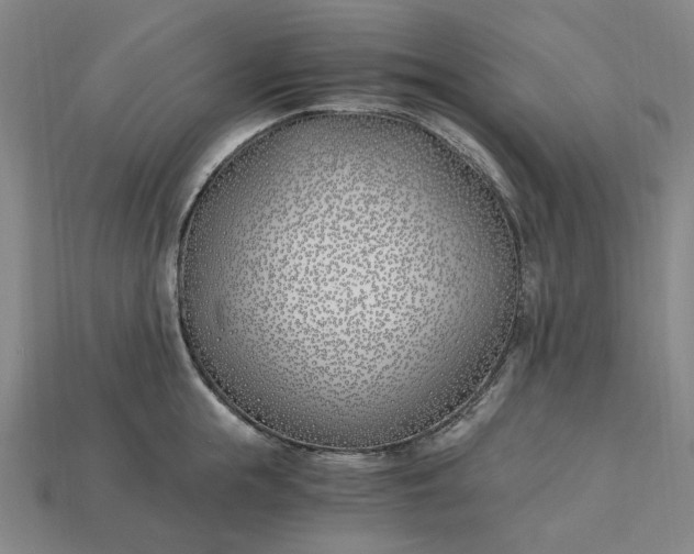 X0000115240855200911131703