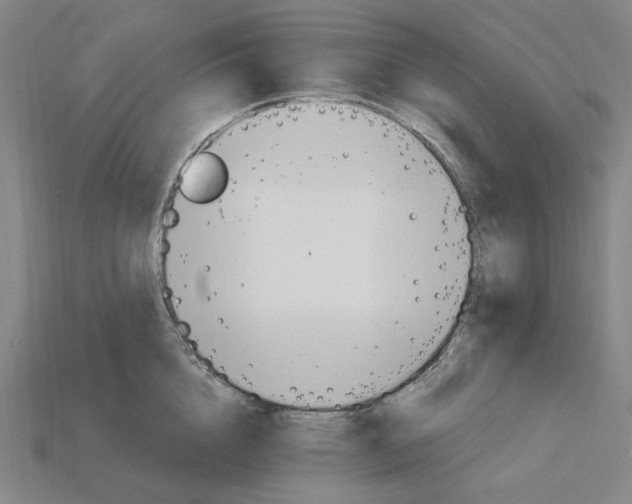 X0000115240856200911131703