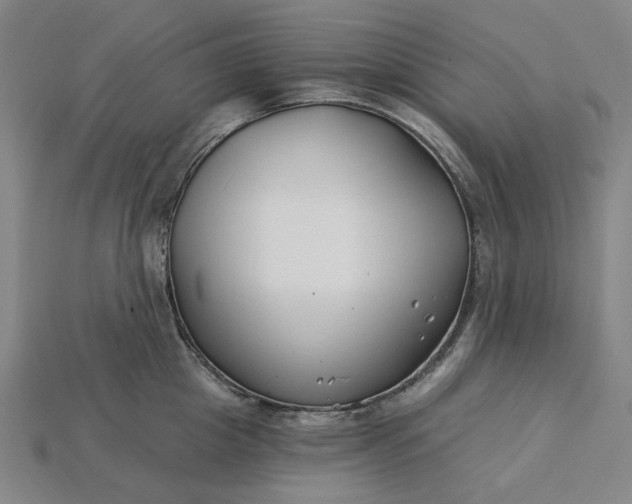 X0000115240857200911131703
