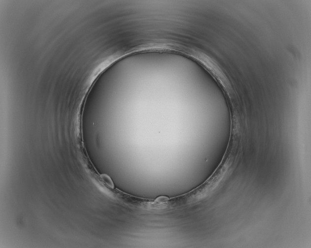 X0000115240858200911131703