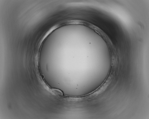 X0000115240860200911131703