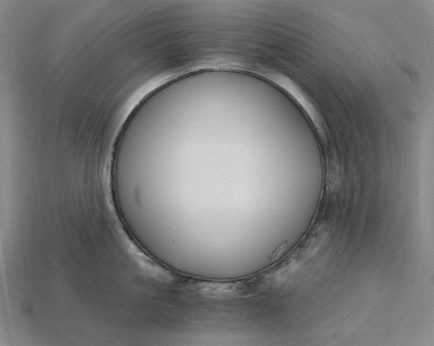 X0000115240861200911131703