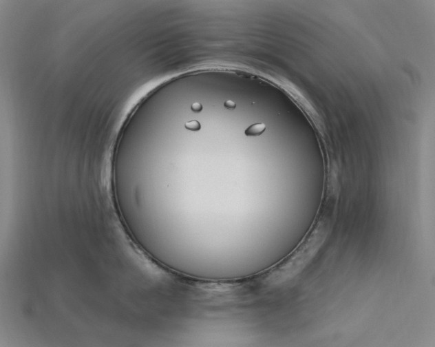 X0000115240862200911131703