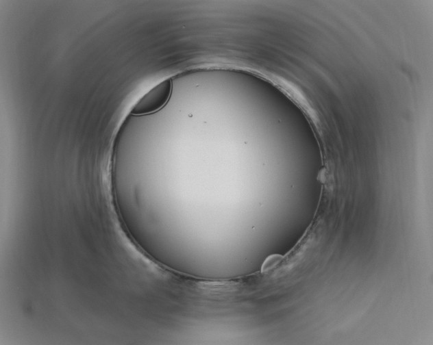 X0000115240863200911131703