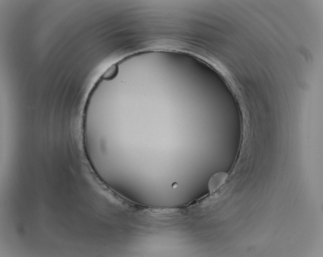 X0000115240864200911131703