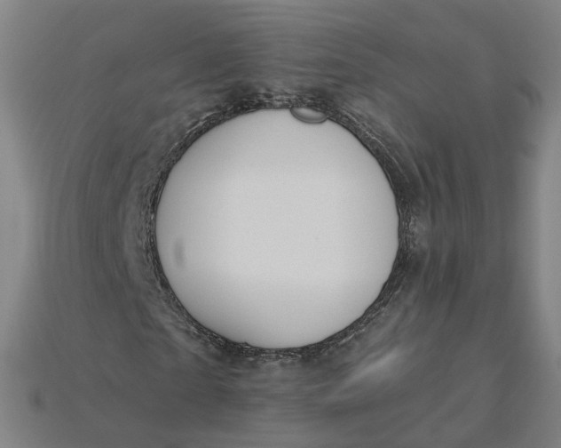 X0000115240865200911131702