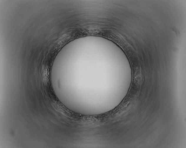 X0000115240866200911131702
