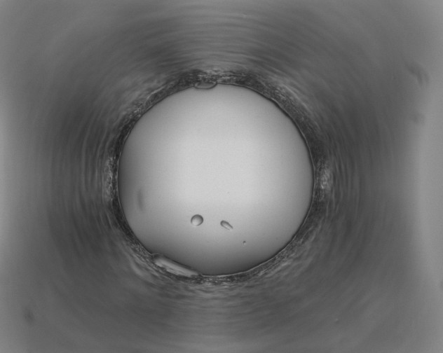 X0000115240868200911131702