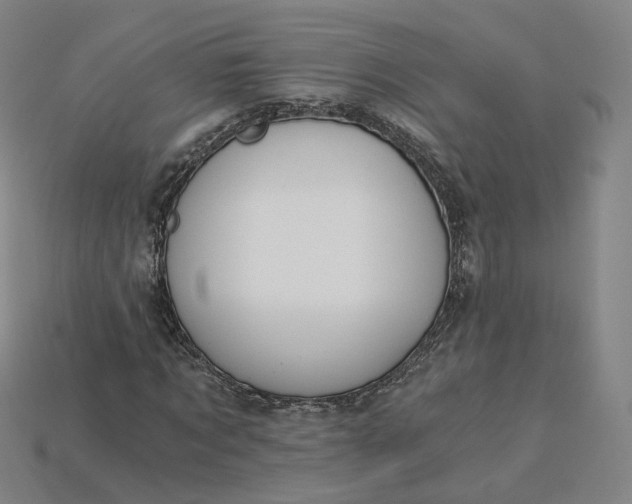X0000115240869200911131702