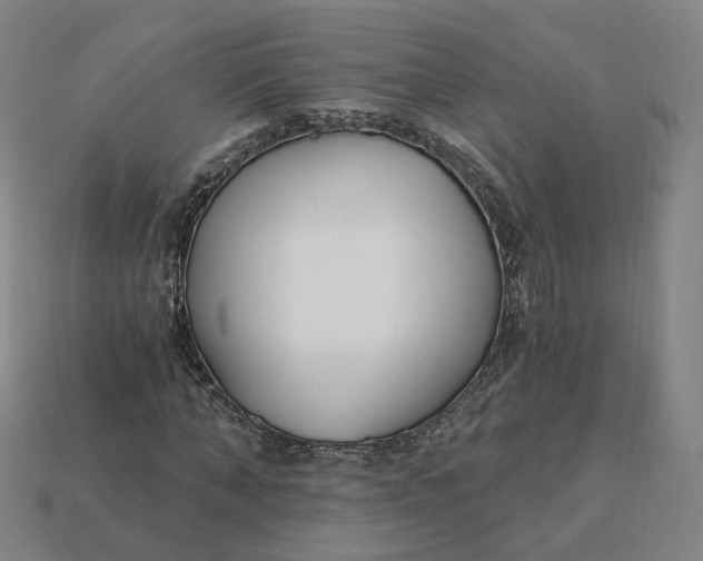 X0000115240870200911131702