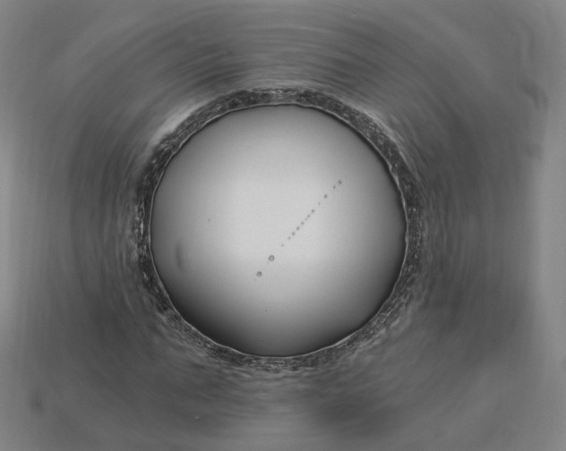 X0000115240871200911131702